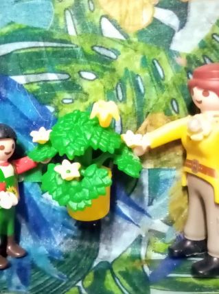 Cadre Playmobil bleu, personnalisable, plante