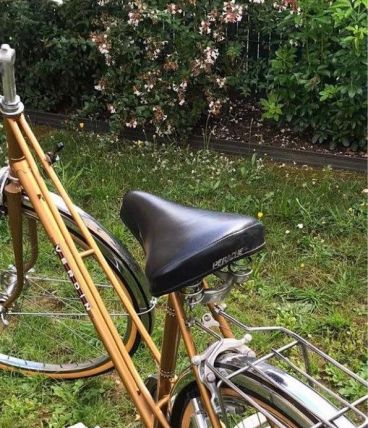 Vélo de Ville collection Vintage taille M VERDIN (femme)