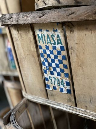 CAGETTE pour marchés fruits et légumes de type MUSSY