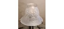 lampe art nouveau  fer forgé et tulipe verre opaque moulé   