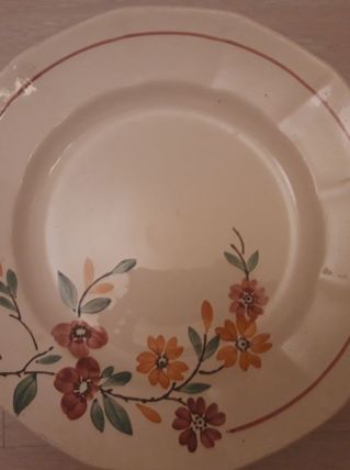 Plat Sarreguemines Bitche