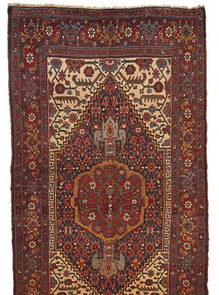 Tapis ancien Persan Bidjar fait main, 1B194