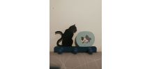 Porte manteau mural '' chat et poisson s n '' 