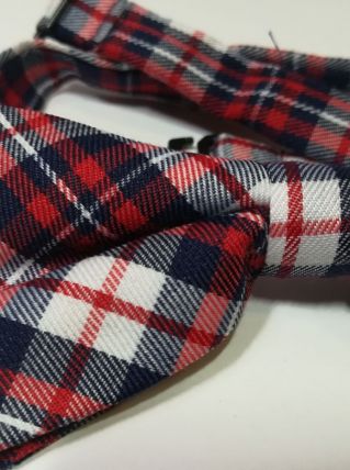 Nœud papillon rustique rouge