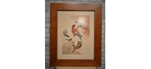lithographie  oiseaux signé  1996 dans beau cadre en loupe 8