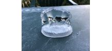 Sanglier cristal d’Arques