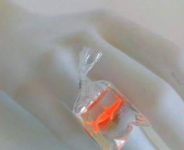 Bague poisson rouge dans un sac, argentée, réglable