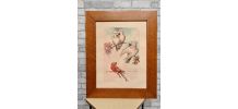 lithographie  d Aquarelle signé  avec perroquet dans un cadr