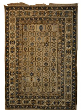 Tapis ancien Caucasien Shirvan fait main, 1B473