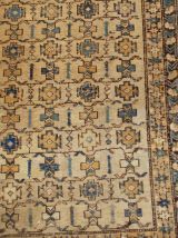Tapis ancien Caucasien Shirvan fait main, 1B473