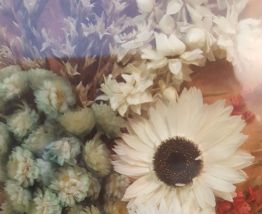 CADRE FLEURS SECHEES