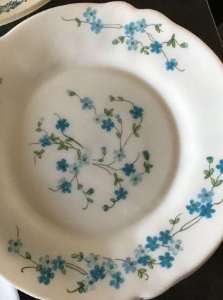 Assiettes à dessert arcopal vintage 