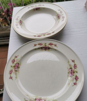 6 assiettes 24 cm  PETRUS REGOUT Maastricht antique neerland