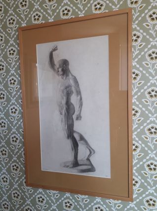 Grand dessin écorché datant de 1885