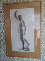 Grand dessin écorché datant de 1885
