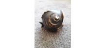 Poisson en bronze des années 40