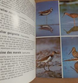 Livre : plages et côtes : Très bon état