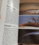 Livre : plages et côtes : Très bon état