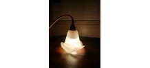 Lampe baladeuse tulipe 