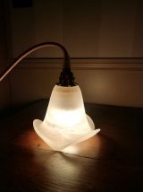 Lampe baladeuse tulipe 