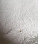 Nappe 