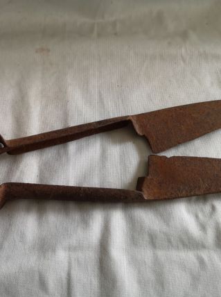 Très ancien Ciseau de tonte pour mouton debut 1900 
