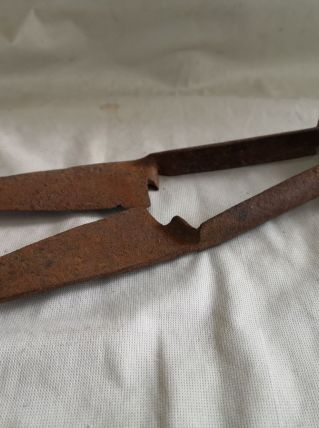 Très ancien Ciseau de tonte pour mouton debut 1900 