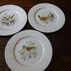 assiettes porcelaine collection " animaux de la chasse"