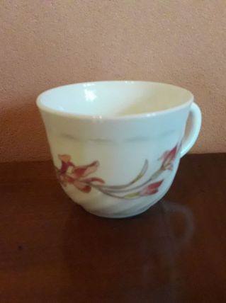 6 Tasses en Arcopal
