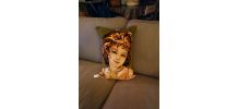 housse coussin