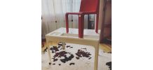 Bureau Ozoo Marc Berthier 