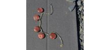 Collier jaspe et perle de cristal