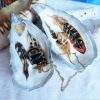 2 coquilles d'huîtres décorées plumes - rangement bijoux.