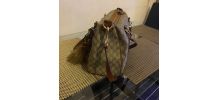 Sac gucci