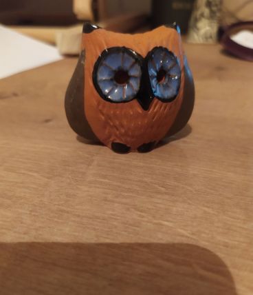Hibou en terre