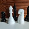 lot de 5 pièces d'échec noir et blanc en céramique 1 roi, 1 