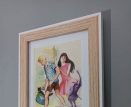 CADRE ILLUSTRATION VINTAGE