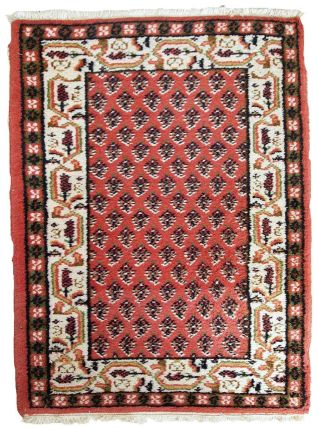 Tapis vintage Indien Seraband fait main, 1C642