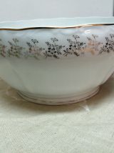 Saladier porcelaine 
