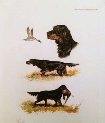 Lot de 3 gravures de Boris Riab