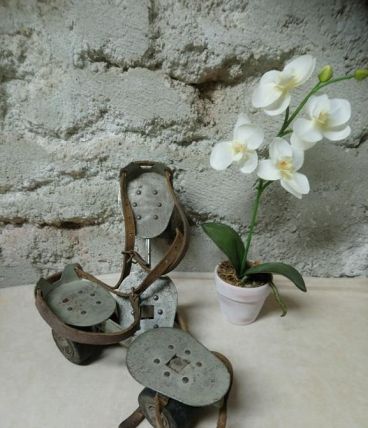 ANCIENS PATINS A ROULETTES "JACK"