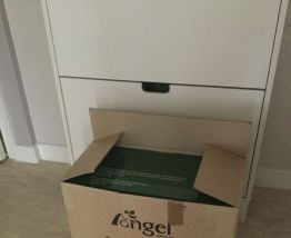 Extracteur de jus angel 5500