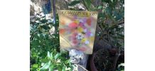 LIVRE L AQUARELLE SUR SOIE COLETTE  LAMARQUE NEUF VINTAGE 