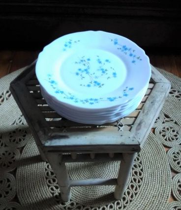 Lot de 12 assiettes plates veronica myosotis (Arcopal)