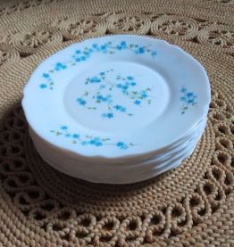 Lot de 12 assiettes plates veronica myosotis (Arcopal)