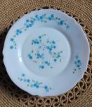 Lot de 12 assiettes plates veronica myosotis (Arcopal)