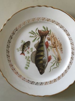 12 assiettes vintage