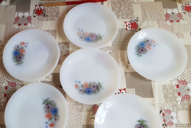 6 ASSIETTES A DESSERT  ARCOPAL