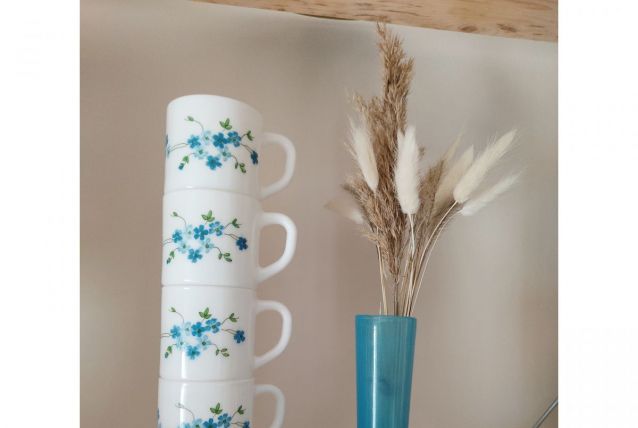 Tasses arcopal 