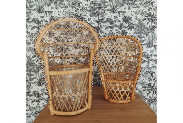 Fauteuils décoratifs en rotin 